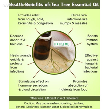 Australia tea tree oil for acne treatment